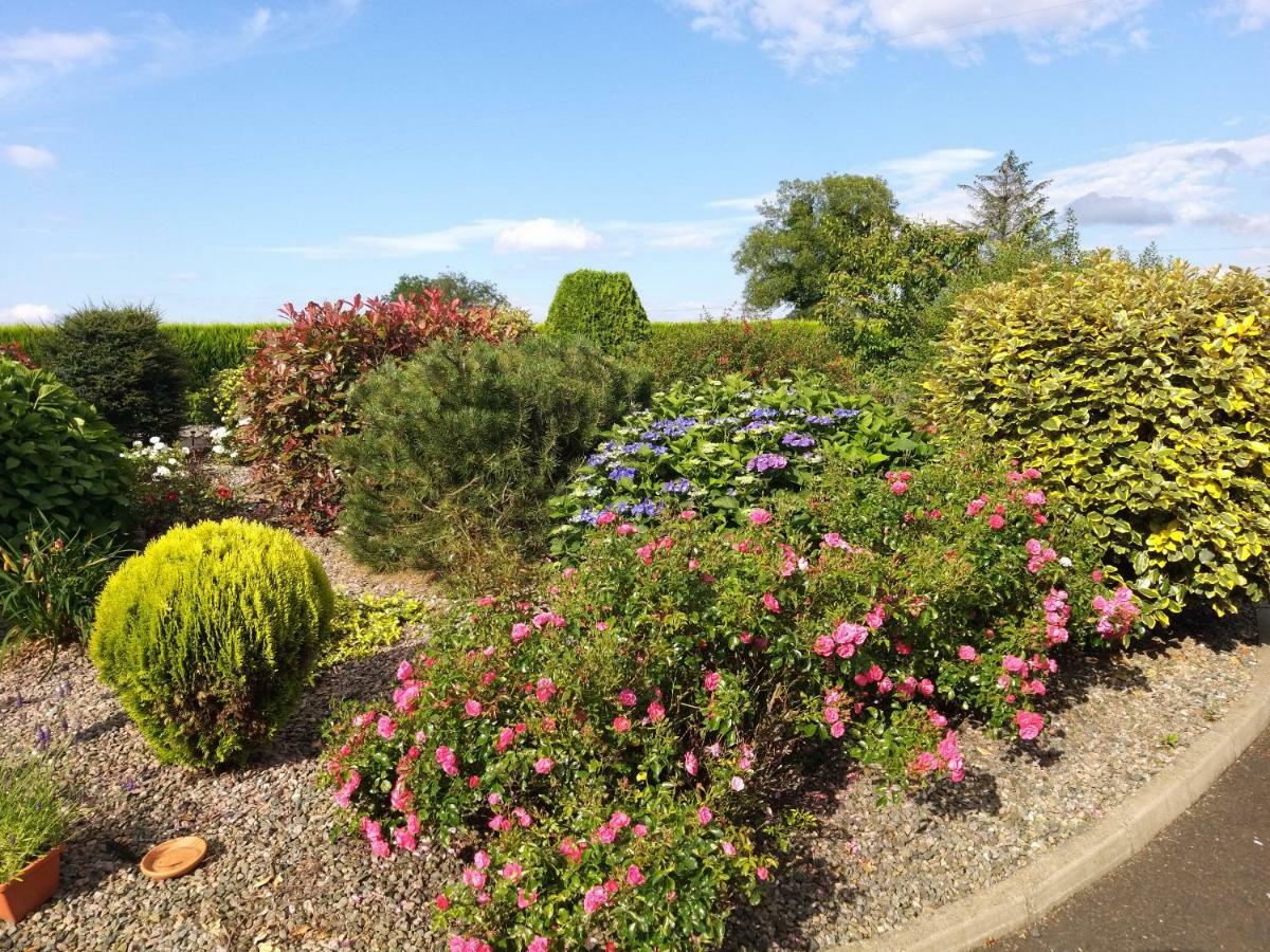Antrim Heights Bnb Exterior foto